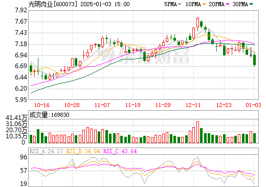 上海梅林股票行情，科技巨擘引領(lǐng)未來股市風(fēng)云。