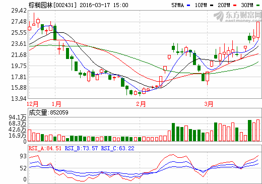 棕櫚園林股票動(dòng)態(tài)解析，最新消息獲取與深度分析指南