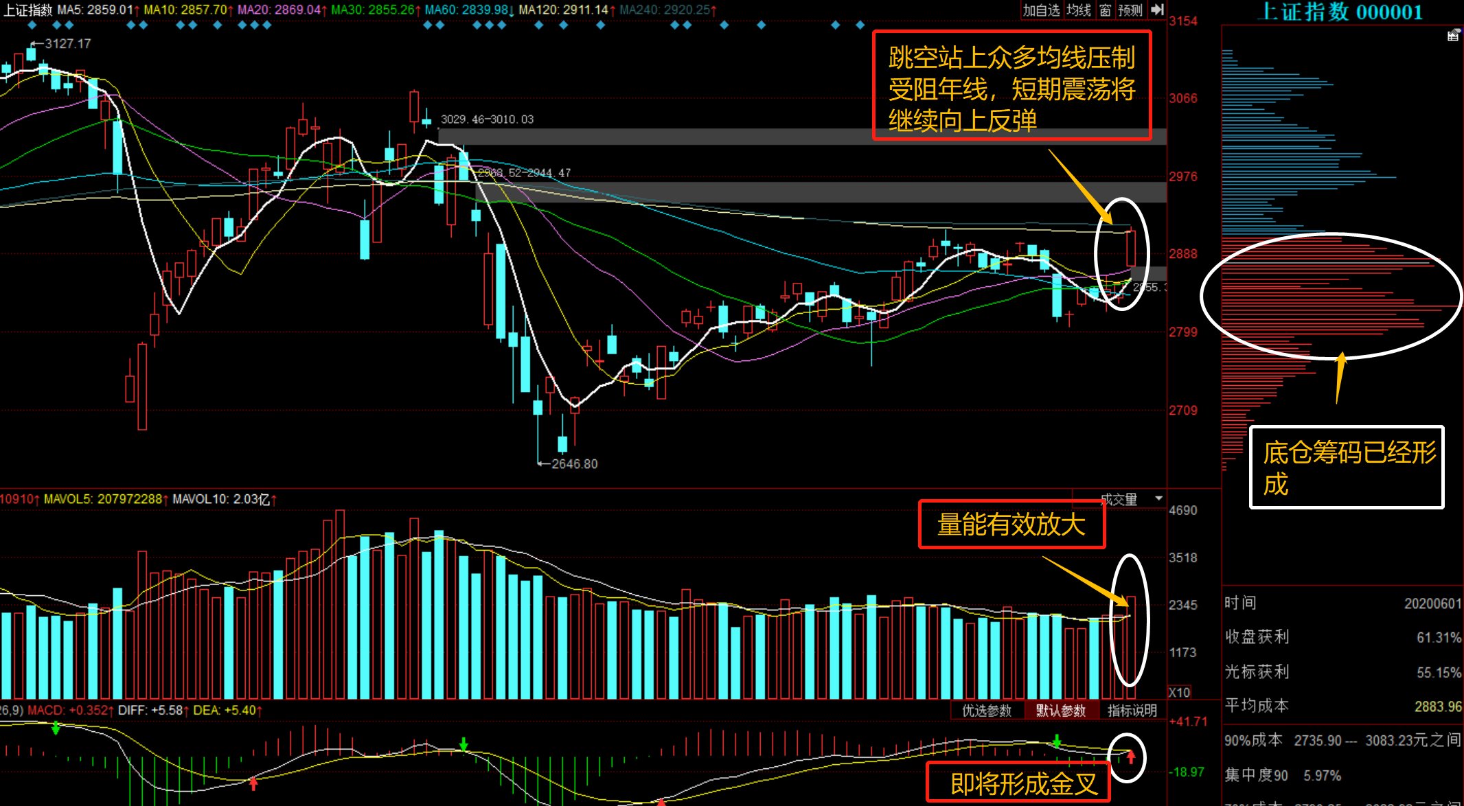 300617股票行情,300617股票行情深度解析，回顧與前景展望