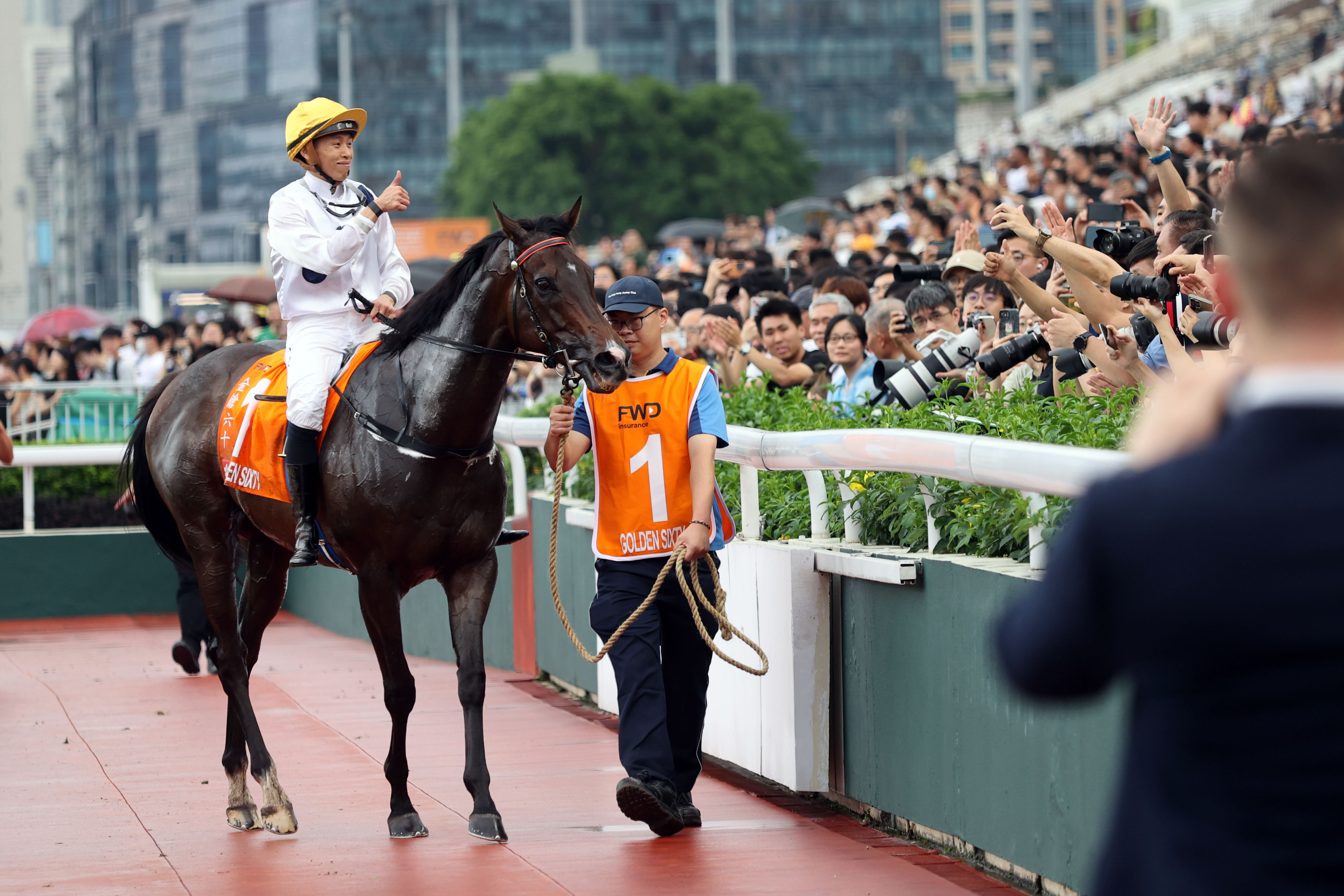 2024香港賽馬全年免費資料,專家意見法案_收藏版6.401