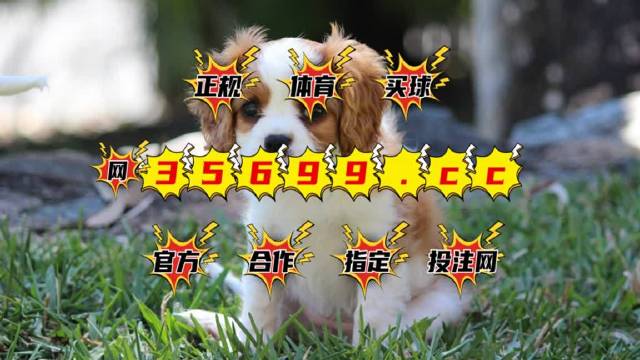 2025澳門特馬今晚開獎56期的,實地驗證實施_別致版29.957