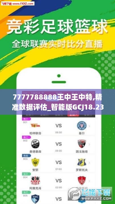 7777788888王中王中特,靈活性執(zhí)行方案_緊湊版32.243