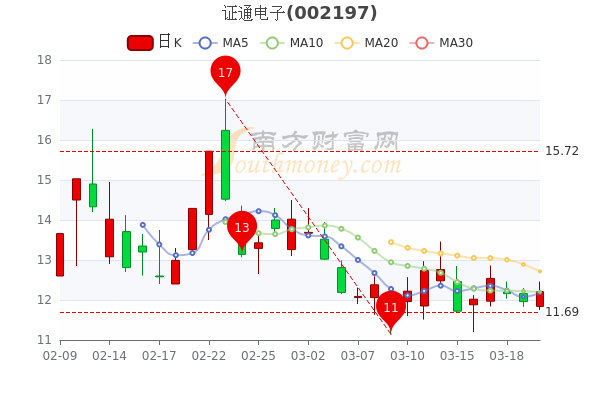 證通電子股票價格回顧與洞察，深度解析及市場趨勢分析